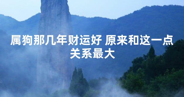 属狗那几年财运好 原来和这一点关系最大